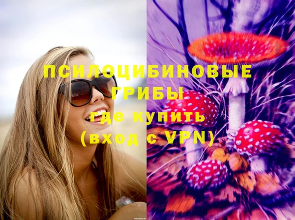 тгк Майский