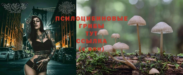 дмт Лихославль
